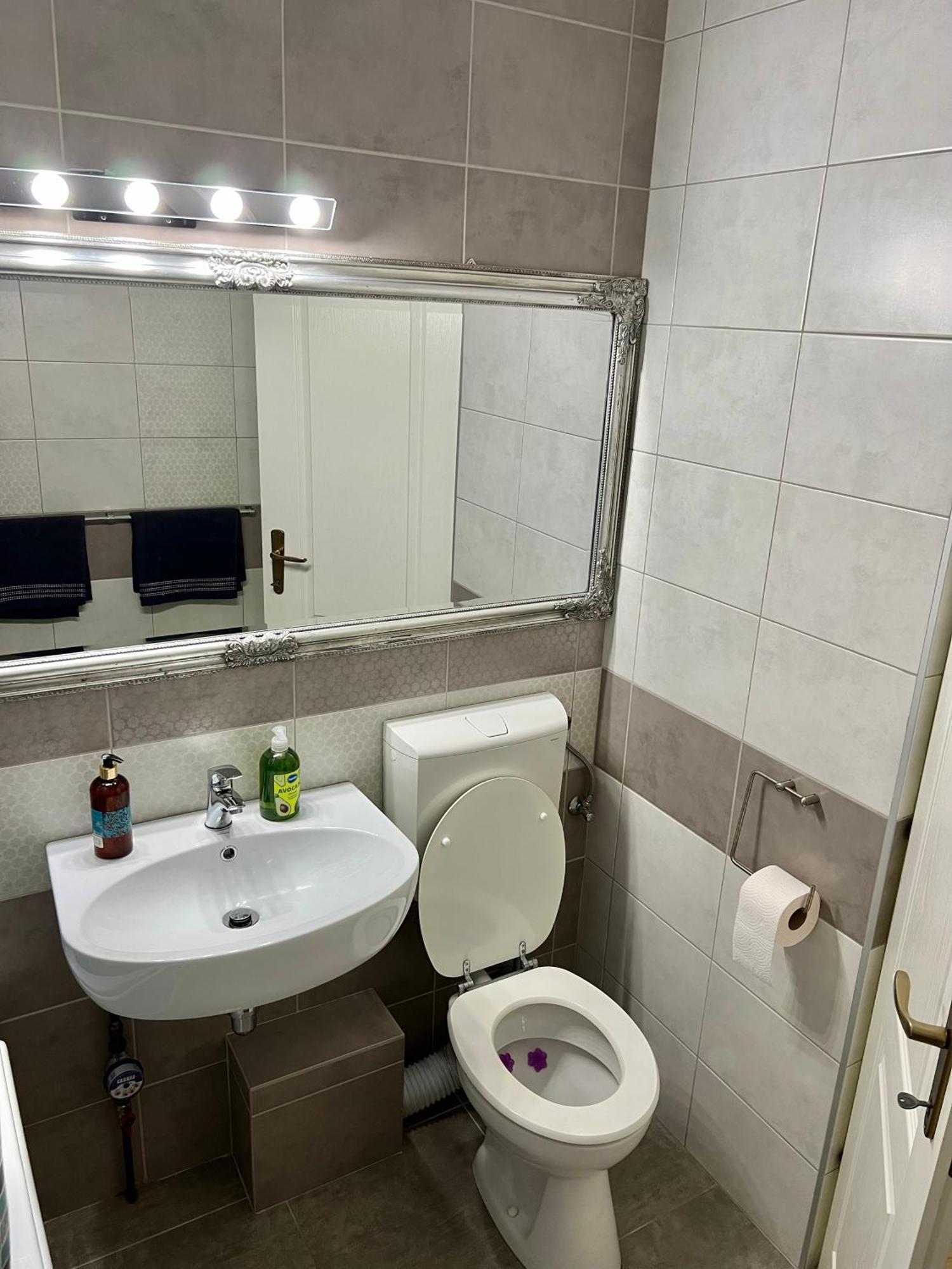 Aparthotel Aurel Vlaicu City Center Cluj-Napoca Extérieur photo