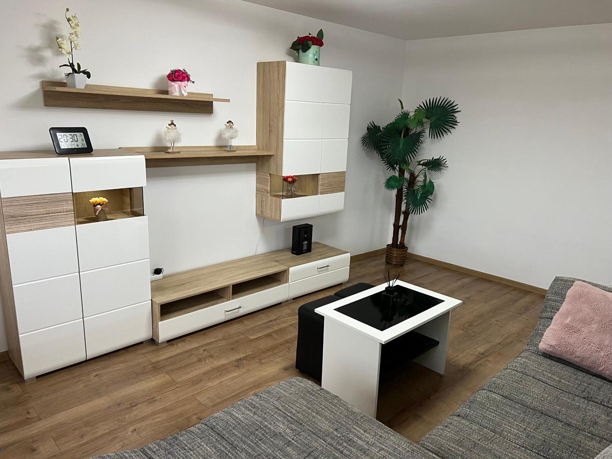Aparthotel Aurel Vlaicu City Center Cluj-Napoca Extérieur photo
